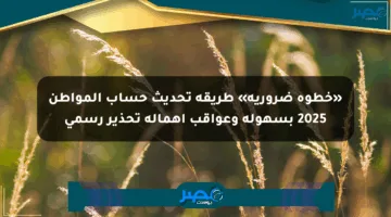 «خطوة ضرورية» طريقة تحديث حساب المواطن 2025 بسهولة وعواقب إهماله تحذير رسمي